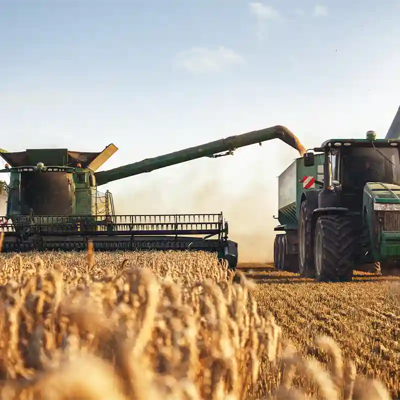 forst-und-landwirtschaft Forst- und Landwirtschaft